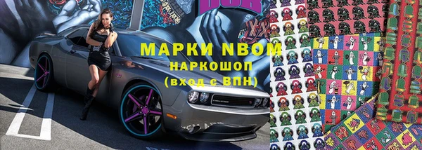 a pvp Аркадак