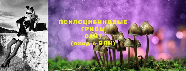 ALPHA PVP Армянск