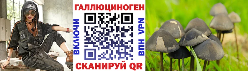 наркошоп  Тейково  Галлюциногенные грибы MAGIC MUSHROOMS 
